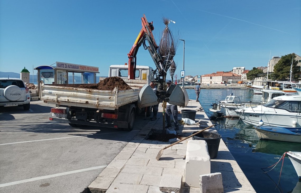 Tamarisi na Velom mostu i Martinici